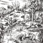 Ilustrácia povrchového baníctva v stredoveku od J. Agricolu, 1556.